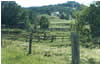 Farm view