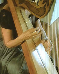 paraguayan harp fingering