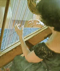 paraguayan harp posture and fingering