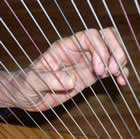 left hand bent wrist
